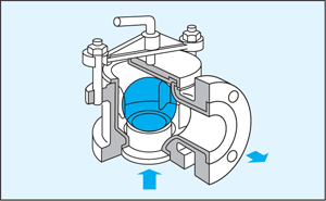 ODS Pump Type Q ball-check valve